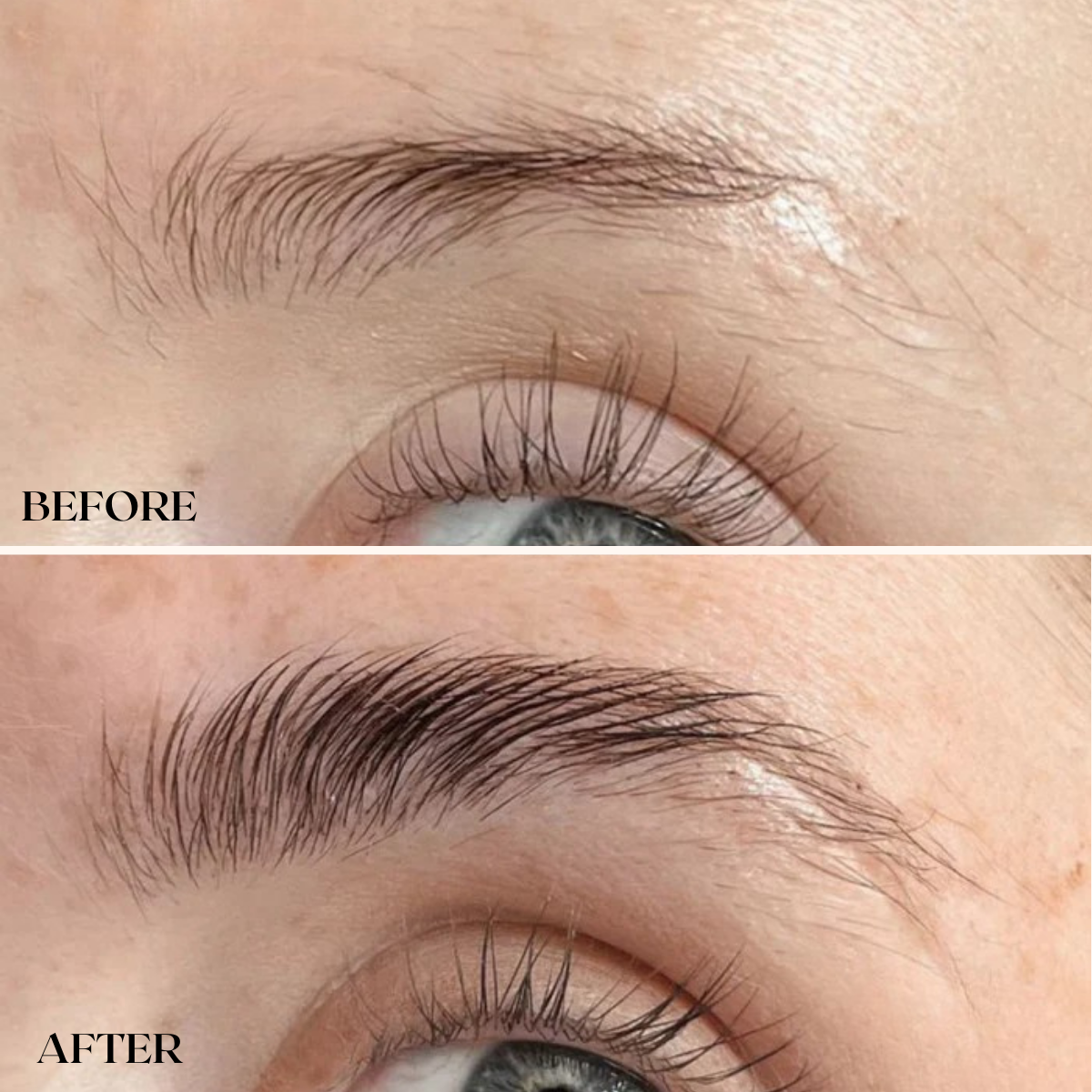 Lash & Brow Growth Boost